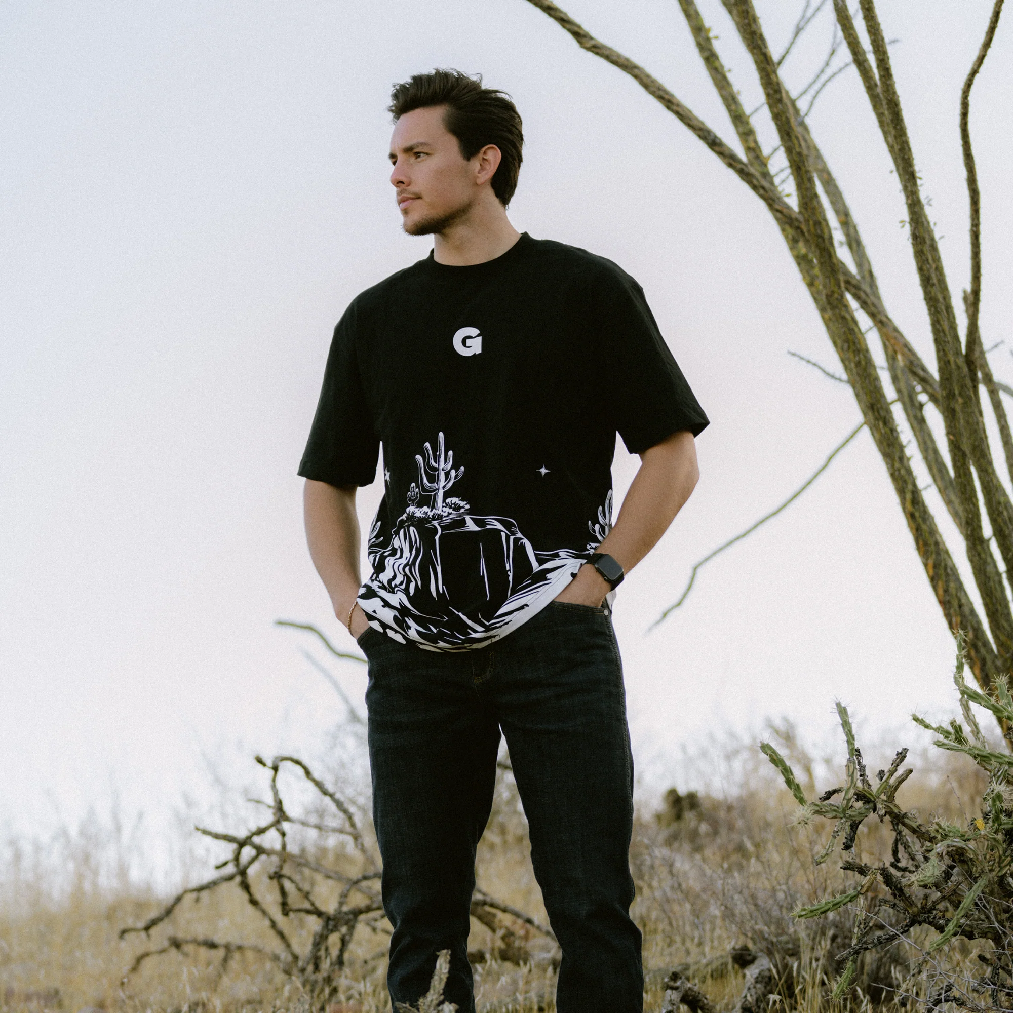 Arizona Pump Cover - Image 3