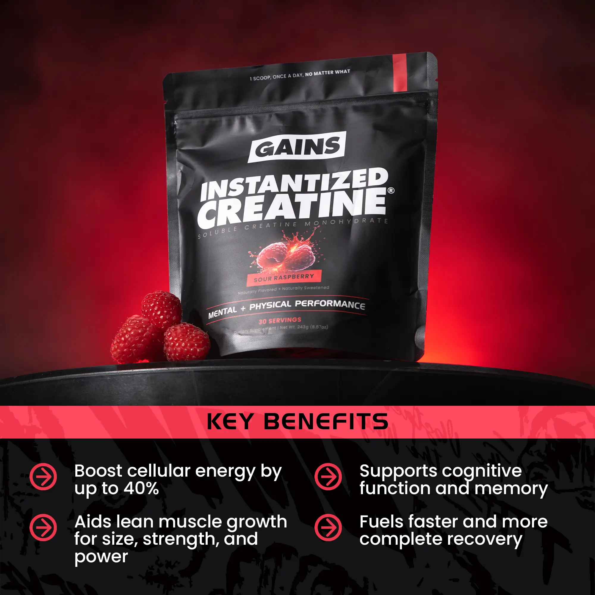 Instantized Creatine - Image 27