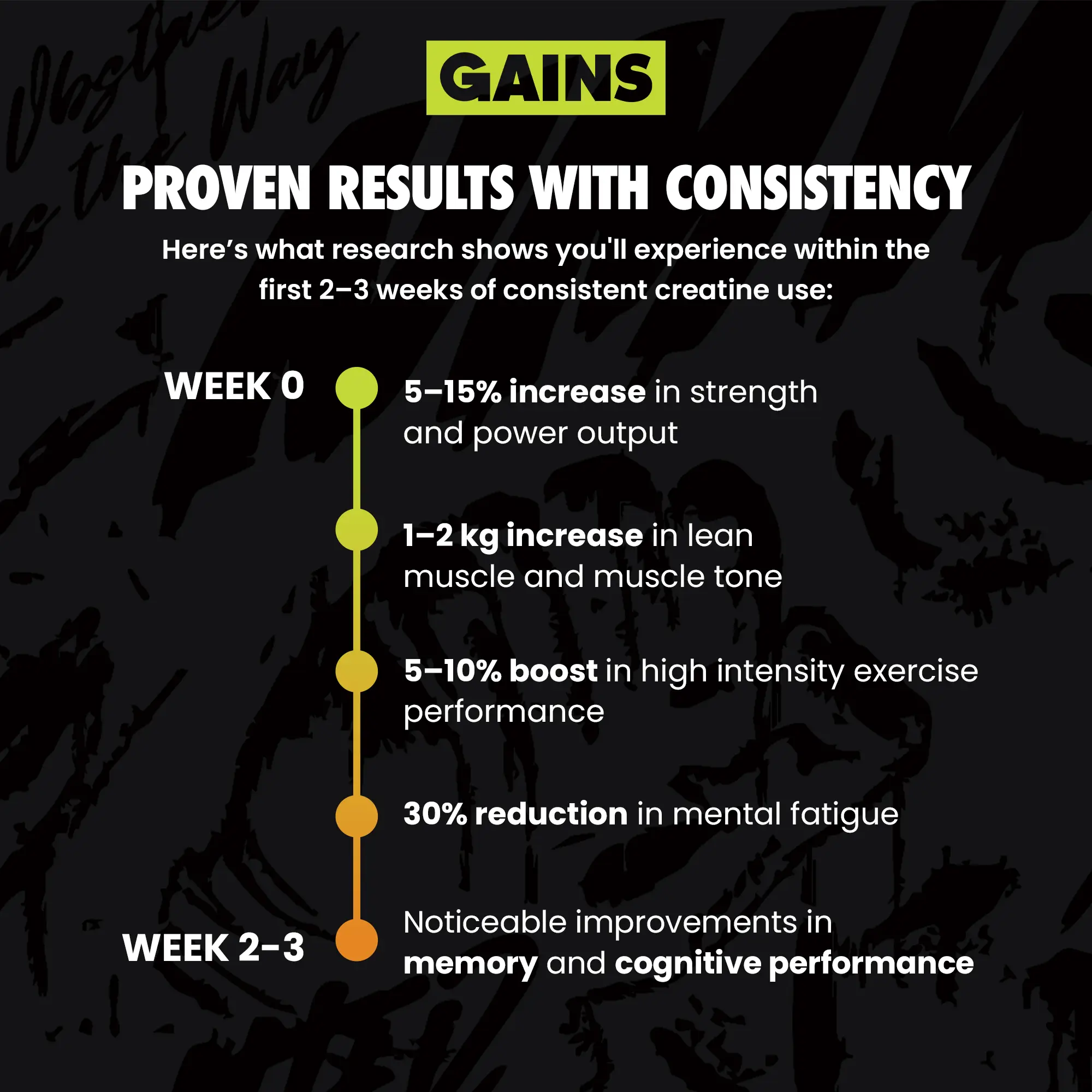 Instantized Creatine - Image 55