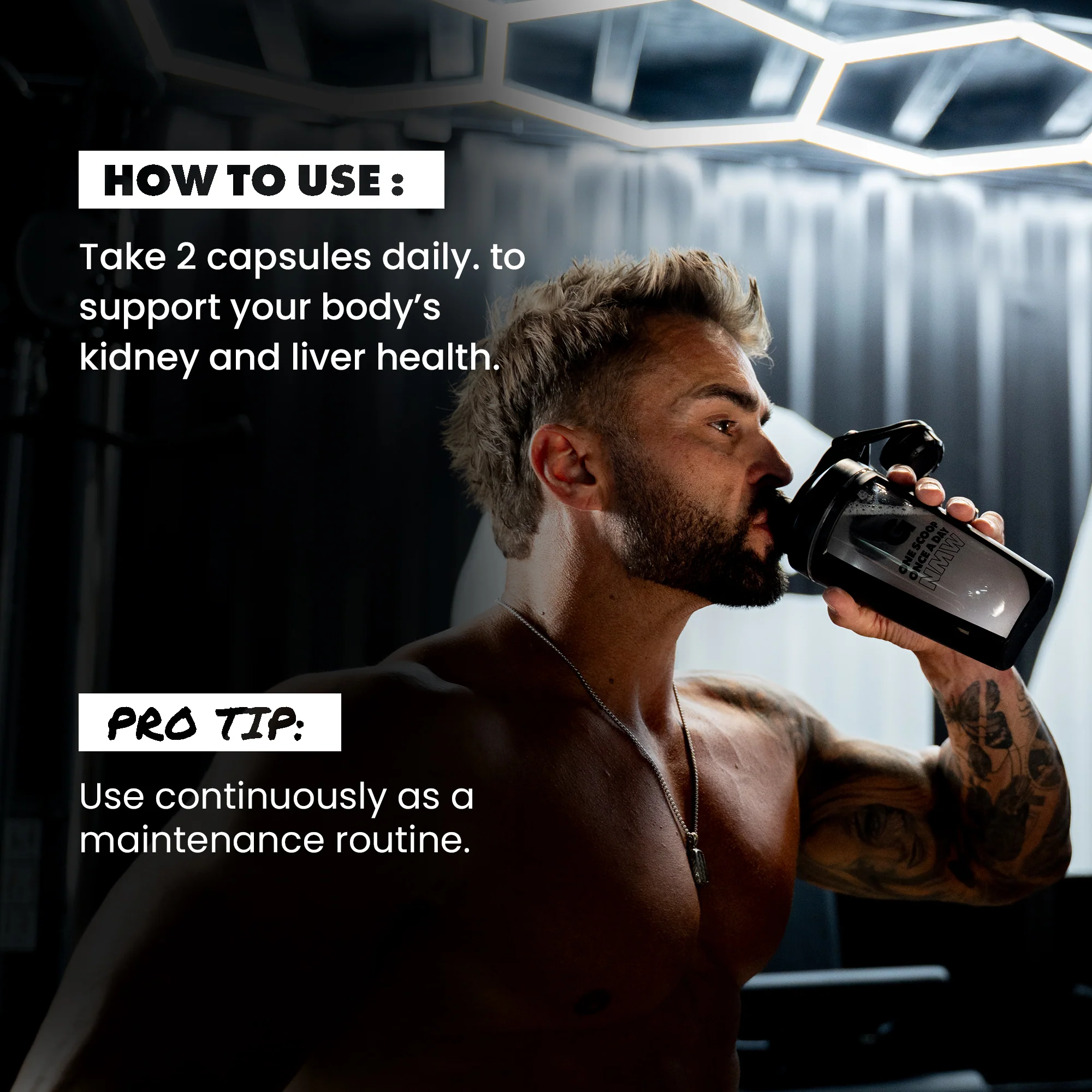 Liver + Kidney - Image 5